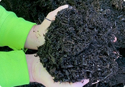 PRODUCTS compost mulch