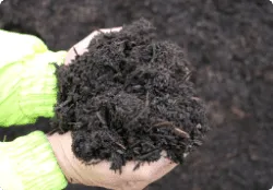 50/50 Garder Mulch