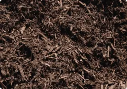 back mulch
