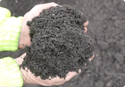 PRODUCTS General Soil