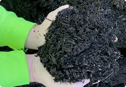 compost mulch 1