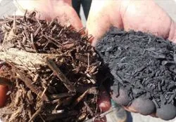 biochar 1