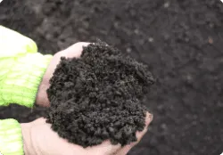 two way soil 02
