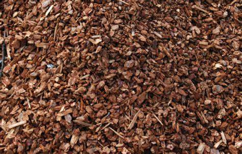 Pebble Bark
