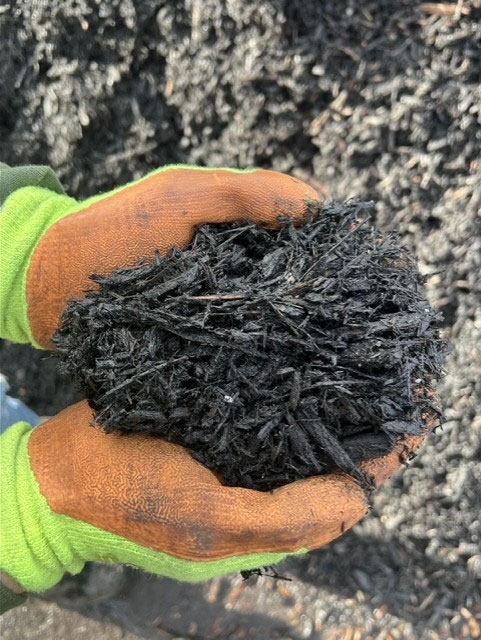 Black Medium Mulch Product Img