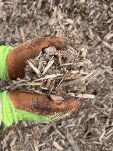Blonde Medium Mulch Blonde Medium Mulch